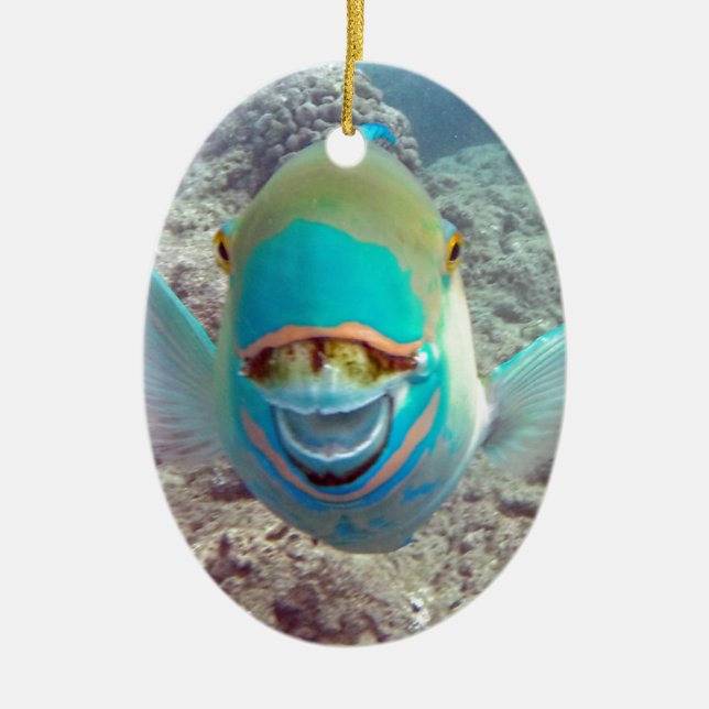 Ornement En Céramique Poisson perroquet Hawaii (Devant)