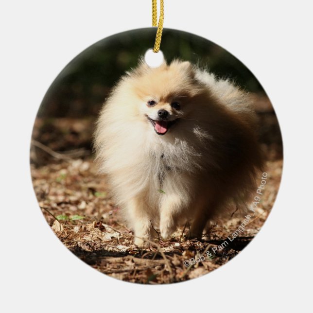 Ornement En Céramique Pomeranian trottant dans le feuille tombé (Devant)