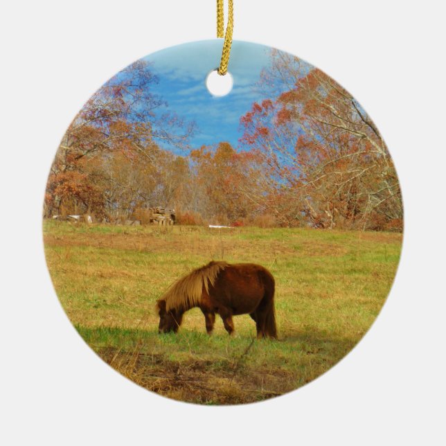 Ornement En Céramique Pony miniature Brown (Devant)