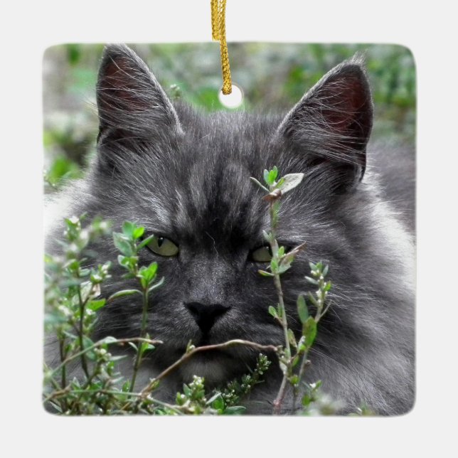 Ornement En Céramique Portrait de chat du Sibérien | (Devant)