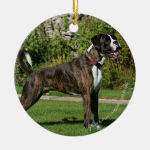 Ornement En Céramique Position Brindle d'exposition canine de boxeur
