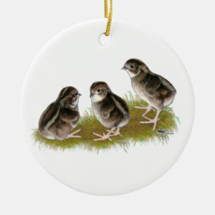 Ornement En Céramique Poussins de cailles de Coturnix