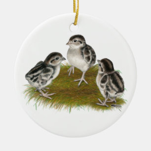 Ornement En Céramique Poussins de perdrix de Chukar