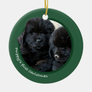 Ornement En Céramique Premier Noël du chiot (Terre-Neuve)