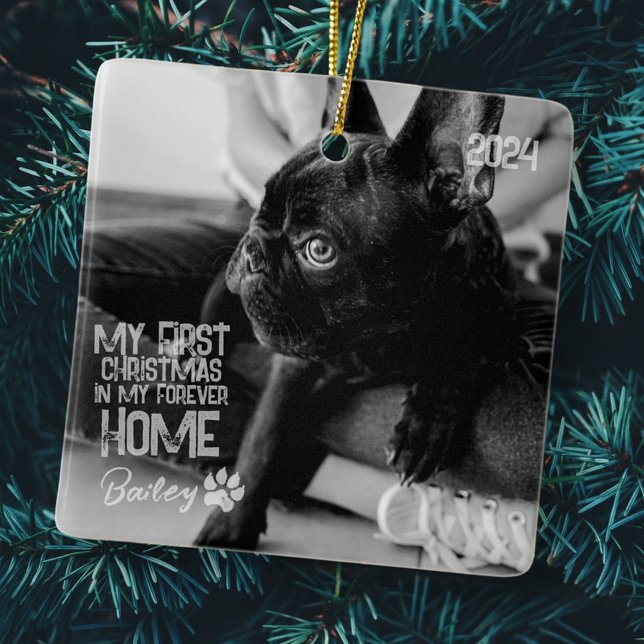 Ornement En Céramique Premier Noël pour animal de compagnie pour toujour (Créateur téléchargé)