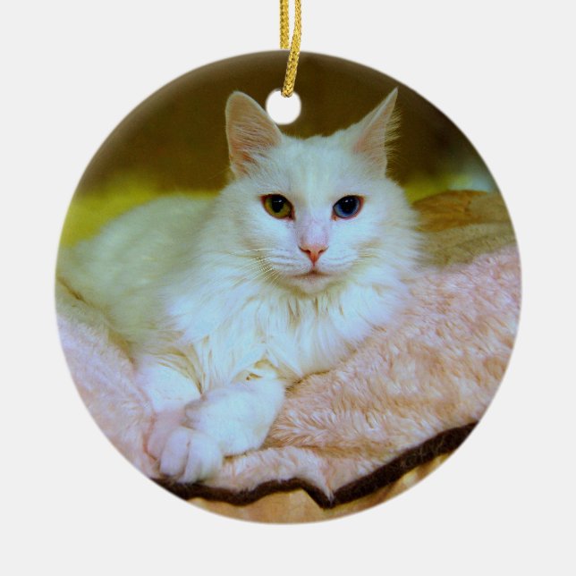 Ornement En Céramique Princesse angora turque Cat Ornament (Devant)