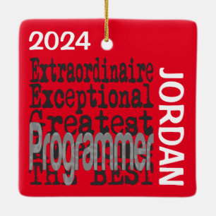Ornement En Céramique Programmeur Extraordinaire CUSTOM