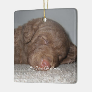 Ornement En Céramique Puppy My First Christmas Photo Ornamy