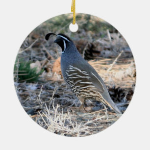 Ornement En Céramique Quail de Californie
