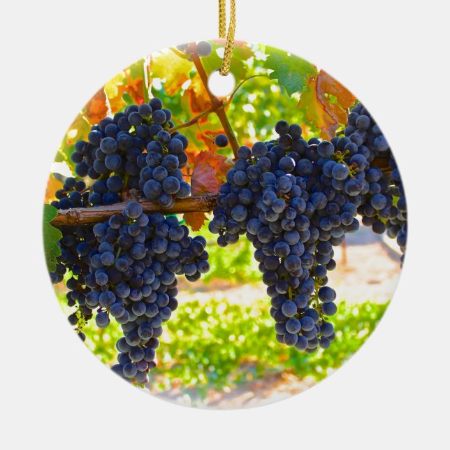 Ornement En Céramique Raisins de cuve (Devant)