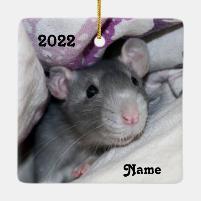 Ornement En Céramique Rat d'animal de compagnie bleu personnalisé (Dos)