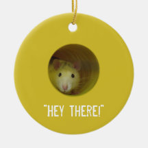 Rat mignon chez un animal drôle de trou