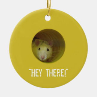 Ornement En Céramique Rat mignon chez un animal drôle de trou