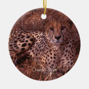 Ornement En Céramique Regard du guépard