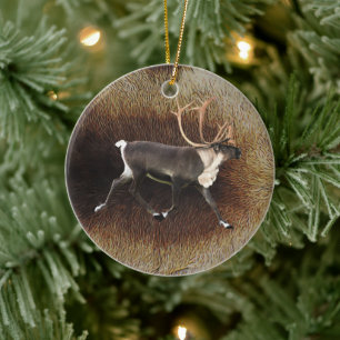 Ornement En Céramique Reindeer - Bull Caribou