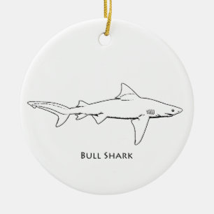 Ornement En Céramique Requin de Taureau (schéma)