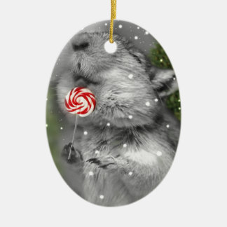 Ornement En Céramique Rêve de Noël de la gerbille