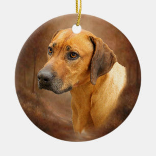 Ornement En Céramique Rhodesian Ridgeback