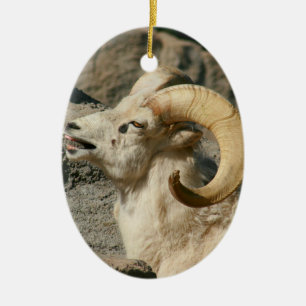 Ornement En Céramique Rire de moutons de Big Horn