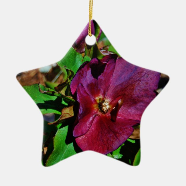 Ornement En Céramique Rose de carême rose Bourgogne (Devant)