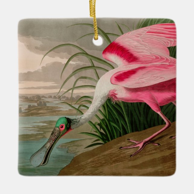 Ornement En Céramique Rose Spoonbill Birds of America Audubon Print (Devant)