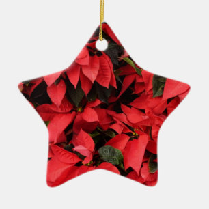 Ornement En Céramique Rouge Poinsettias II Noël Fête Florale