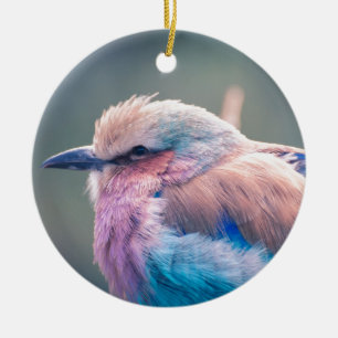 Ornement En Céramique Rouleau sud-africain de Lilas-Breasted