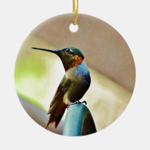 Ornement En Céramique Ruby perché et petit colibri vert