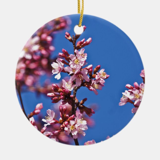 Ornement En Céramique Sakura Cerry Blossoms Touché Bleu (Devant)