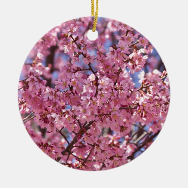 Ornement En Céramique Sakura Pink Cherry Blossom Sky (Devant)