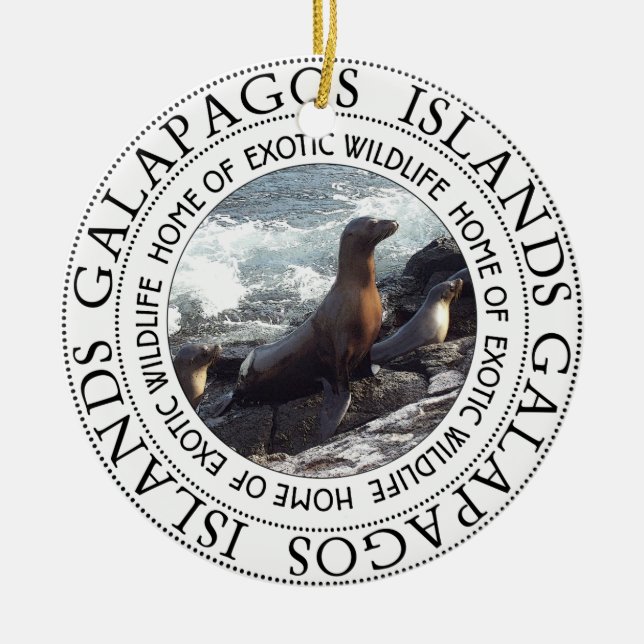 ORNEMENT EN CÉRAMIQUE SCEAUX DE GALAPAGOS RONDS (Devant)