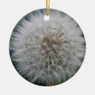 Ornement En Céramique Semer Dandelion Fleur Personnalisé Anniversaire