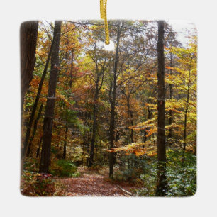 Ornement En Céramique Sentier ensoleillé d'automne dans le parc d'État L