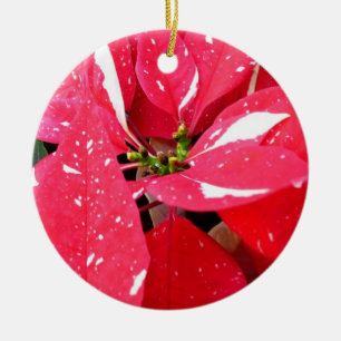 Ornement En Céramique Shimmer Star Surprise Poinsettia vacances Florale