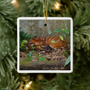 Ornement En Céramique Silencieux Night Mountain Bongo Antelope Calf