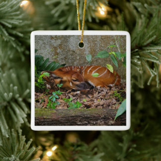 Ornement En Céramique Silencieux Night Mountain Bongo Antelope Calf