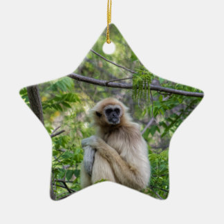 Ornement En Céramique Singe blond de gibbon - lar de Hylobates