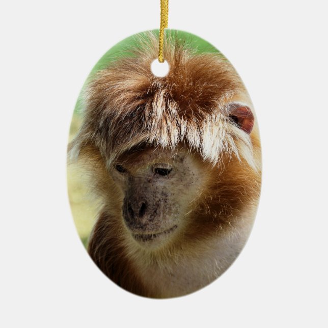 ORNEMENT EN CÉRAMIQUE SINGES (Devant)
