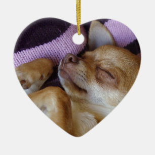Ornement En Céramique Sleeping Chihuahua