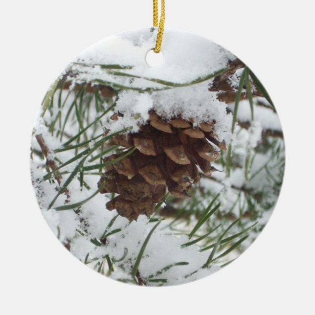 Ornement En Céramique Snowy Pine Cone I (Devant)
