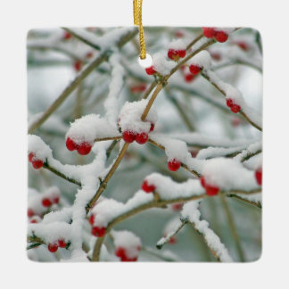 Ornement En Céramique Snowy Red Berries scène d'hiver