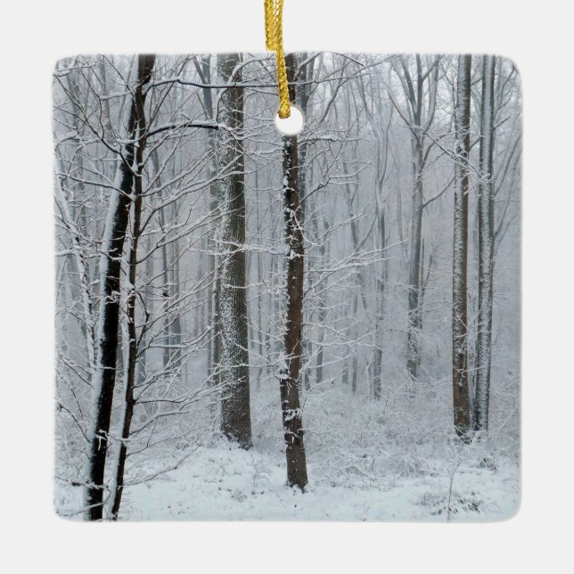 Ornement En Céramique Snowy White Poplar Forest (Devant)