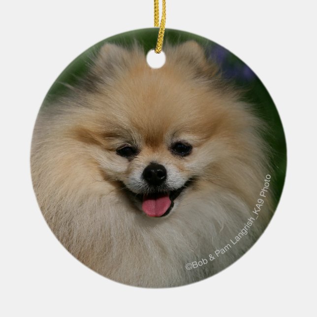 Ornement En Céramique Sourire de Pomeranian (Devant)