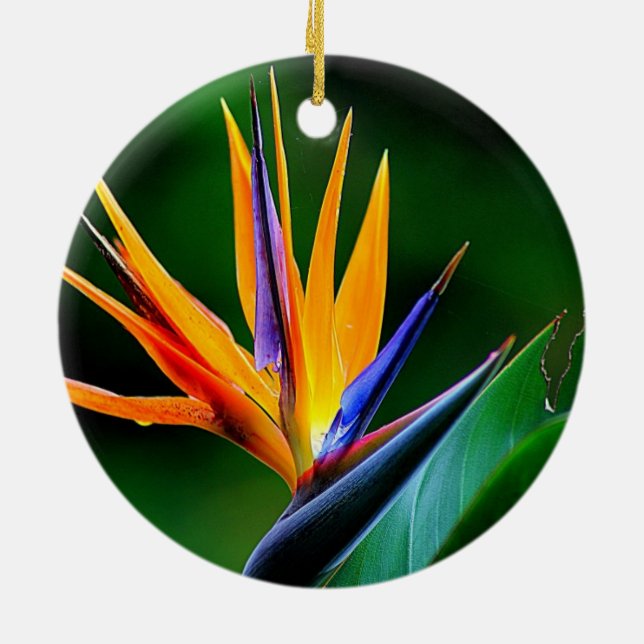 Ornement En Céramique Strelitzia. Oiseau de fleur de paradis (Dos)