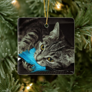 Ornement En Céramique Tabby Cat avec plume par Shirley Taylor