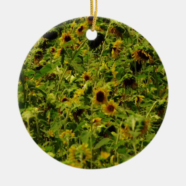 Ornement En Céramique Terrain de tournesol (Devant)