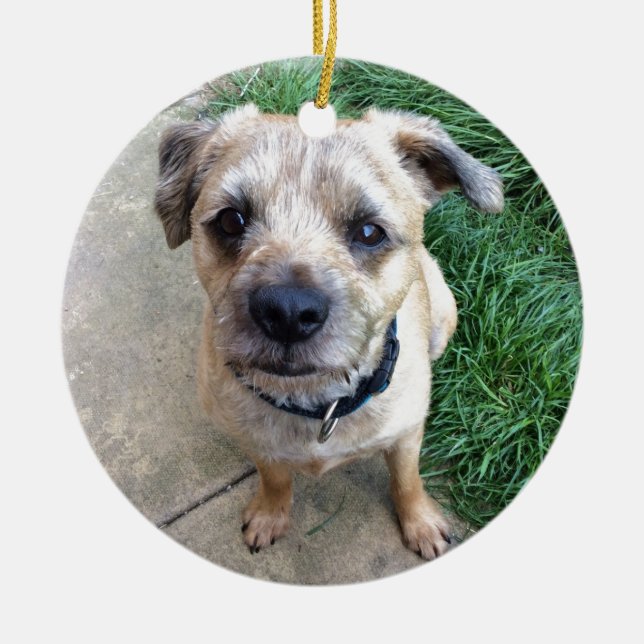 Ornement En Céramique Terrier de frontière mignon (Devant)