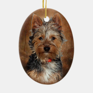 Ornement En Céramique Terrier soyeux australien