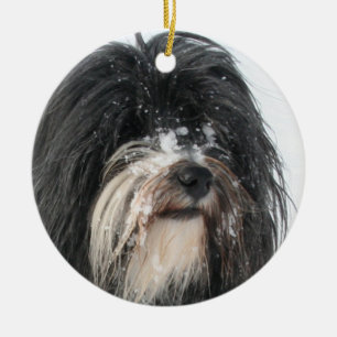 Ornement En Céramique Tibet_Terrier.png