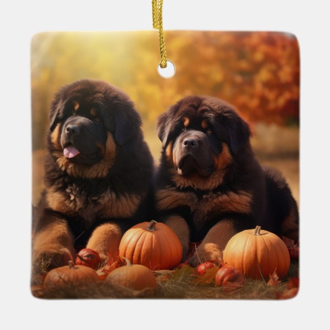 Ornement En Céramique Tibétain Mastiff Chiot Automne Citrouille délice (Devant)